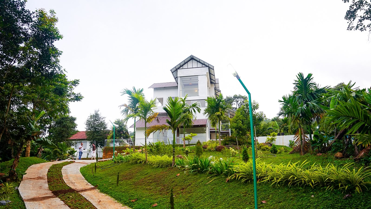 Tropical Garden Pathway