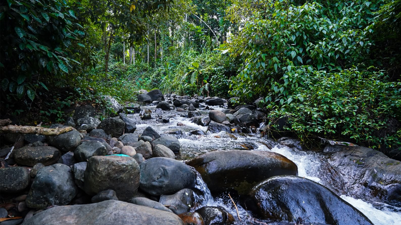 Natural Mountain Stream inside Resort