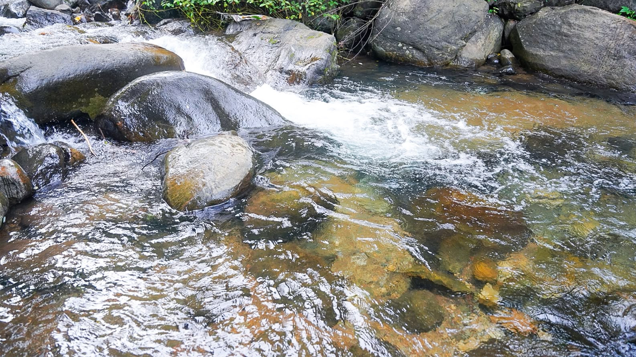 Clear Stream Waters