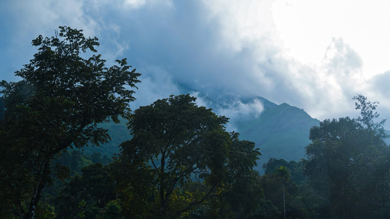 Misty Banasura Mountain Peak